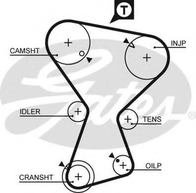 Ремінь ГРМ GATES 5375XS