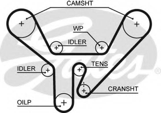 Ремінь ГРМ GATES 5518XS