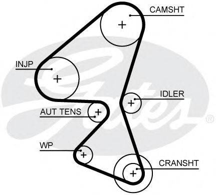 Ремінь ГРМ GATES 5656XS